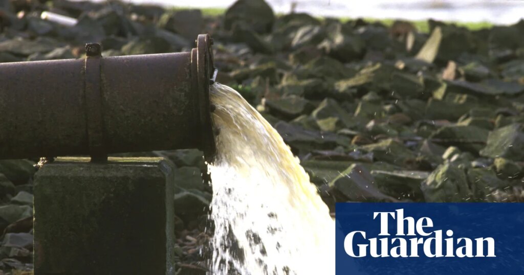 Dirty water, death and decline: the inside story of a privatisation scandal | Water