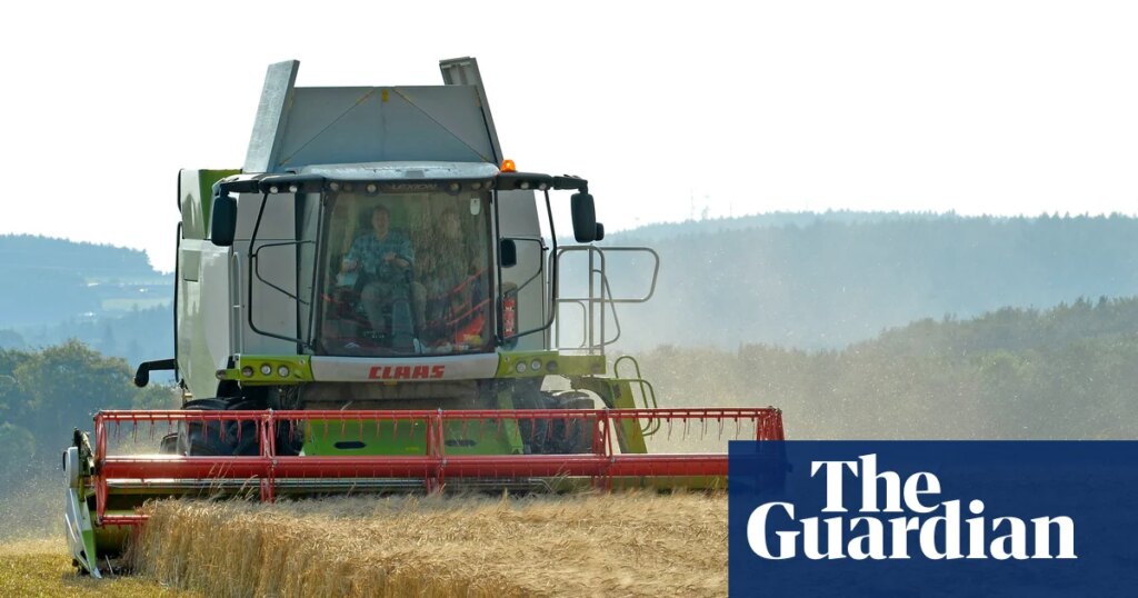Farmers in England face losses under new cap on sustainable farming payments | Farming Farmers in England face losses under new cap on sustainable farming payments | Farming