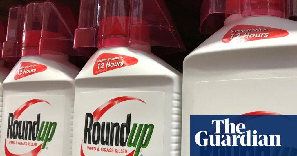 Lawyers for US cancer sufferers challenge Bayer’s $7.25bn Roundup settlement deal | Bayer Lawyers for US cancer sufferers challenge Bayer’s $7.25bn Roundup settlement deal | Bayer