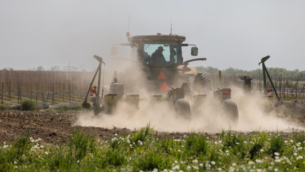 Fertilizer prices surge amid Iran war, sparking food security warnings Fertilizer prices surge amid Iran war, sparking food security warnings