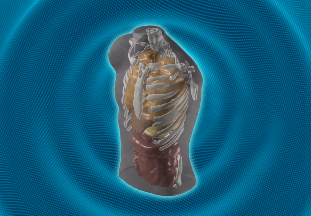 This AI company wants to replace MRIs with a 60-second dip in the spa. Can that really work? This AI company wants to replace MRIs with a 60-second dip in the spa. Can that really work?