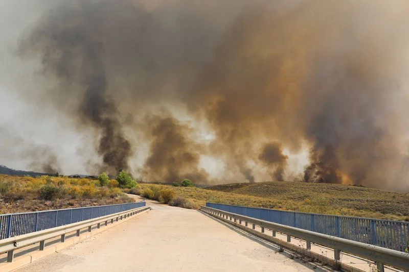 Spanish wildfire victims burned in cars as roads turned into death traps Spanish wildfire victims burned in cars as roads turned into death traps