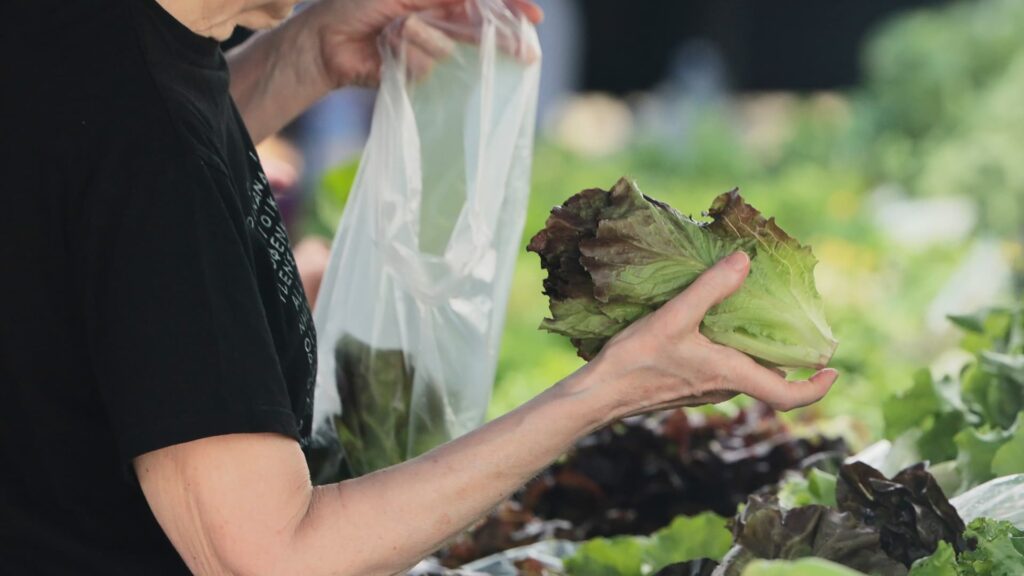 Cyclospora fears lead consumers to lose their appetite for salads Cyclospora fears lead consumers to lose their appetite for salads