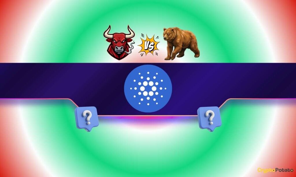 Healthy Correction or the Return of the Bears?